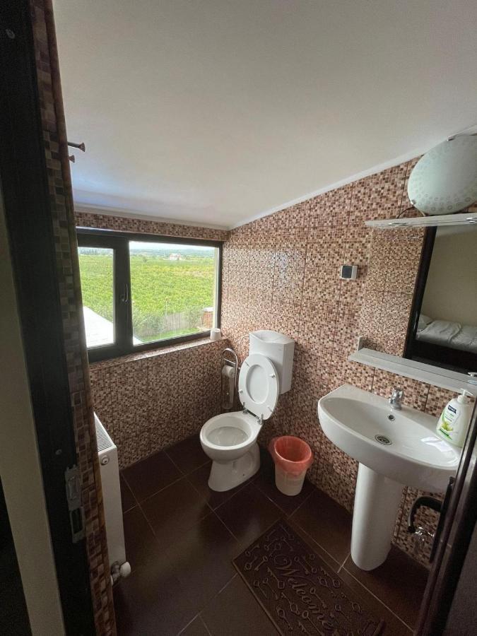 Motel Orion Obrejita Екстер'єр фото