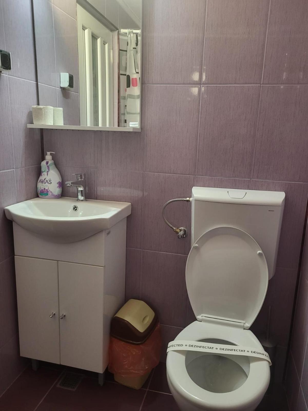 Motel Orion Obrejita Екстер'єр фото